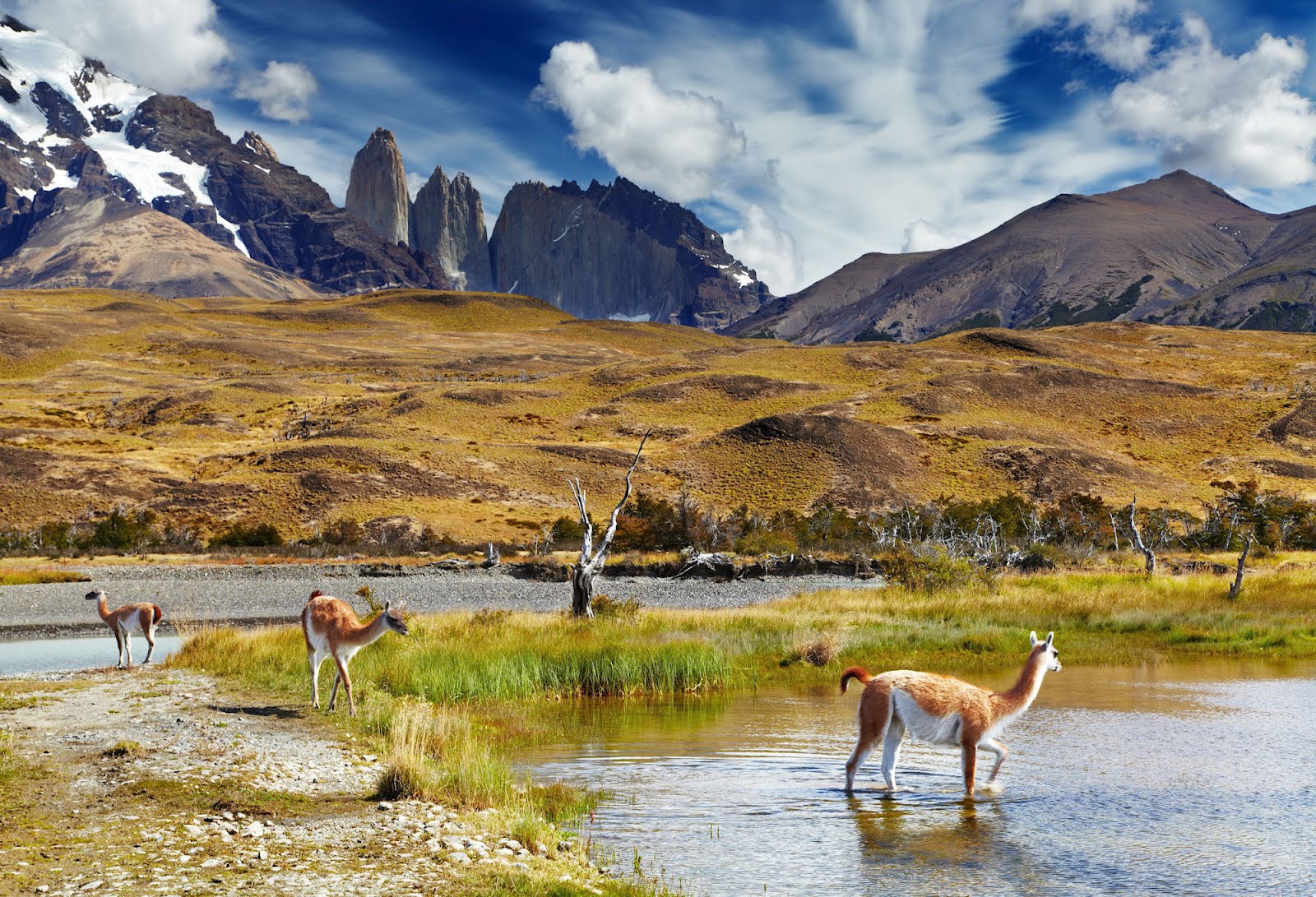 Parque Nacional Torres del Paine, Chile Circuito Argentina Chile