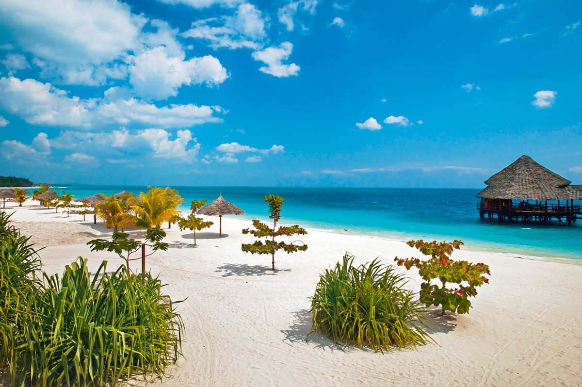 Playas de Zanzíbar Safari Tanzania Zanzibar