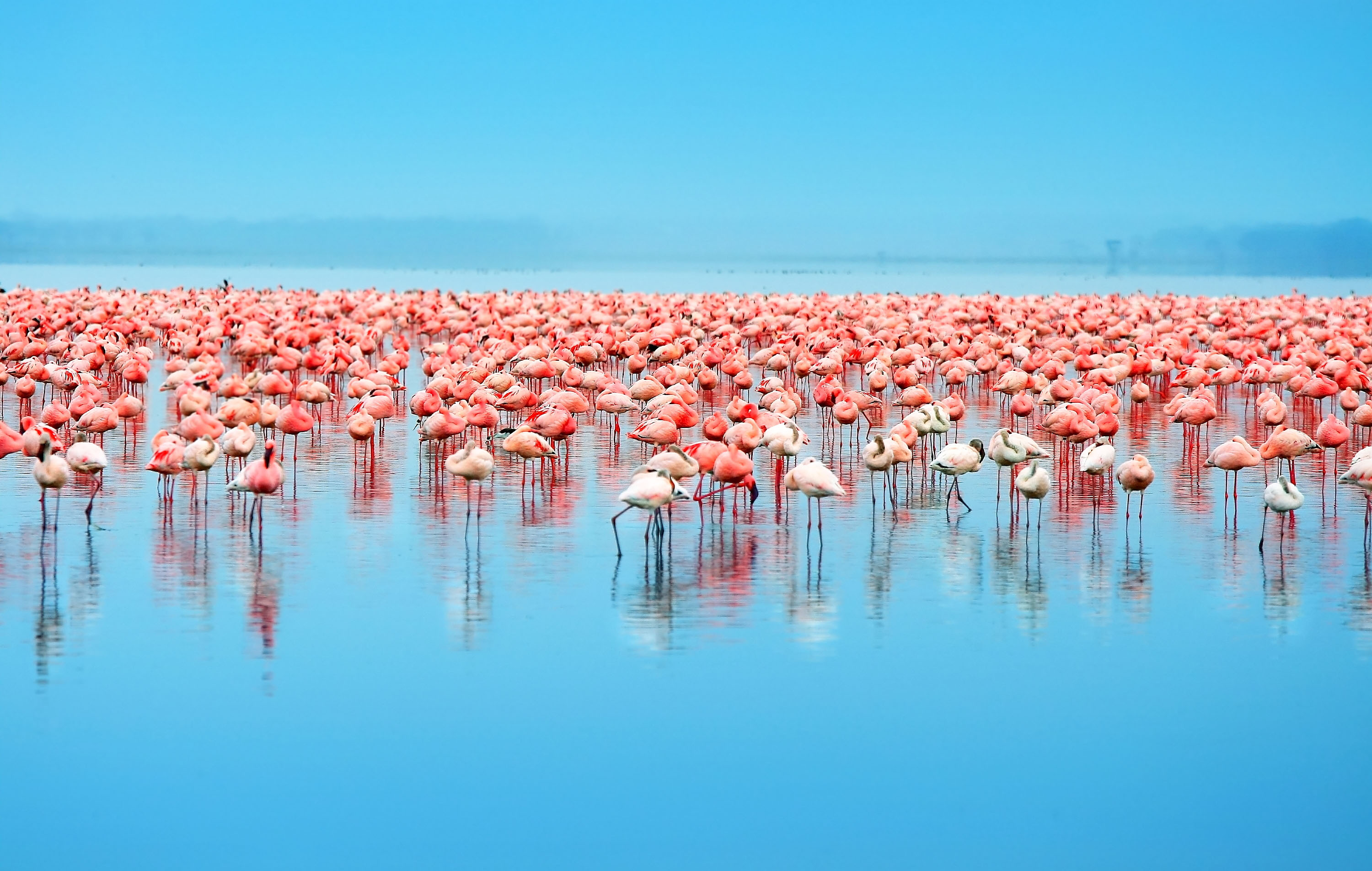 Lago Nakuru, Kenia Safari por Africa