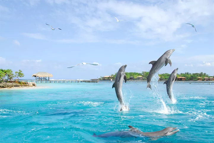 Viaje de novios a Roatan