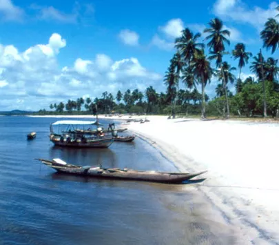 Viaje a Salvador de Bahía ofertas