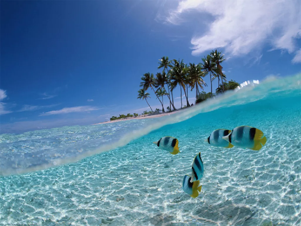 Viaje a Varadero Todo Incluido