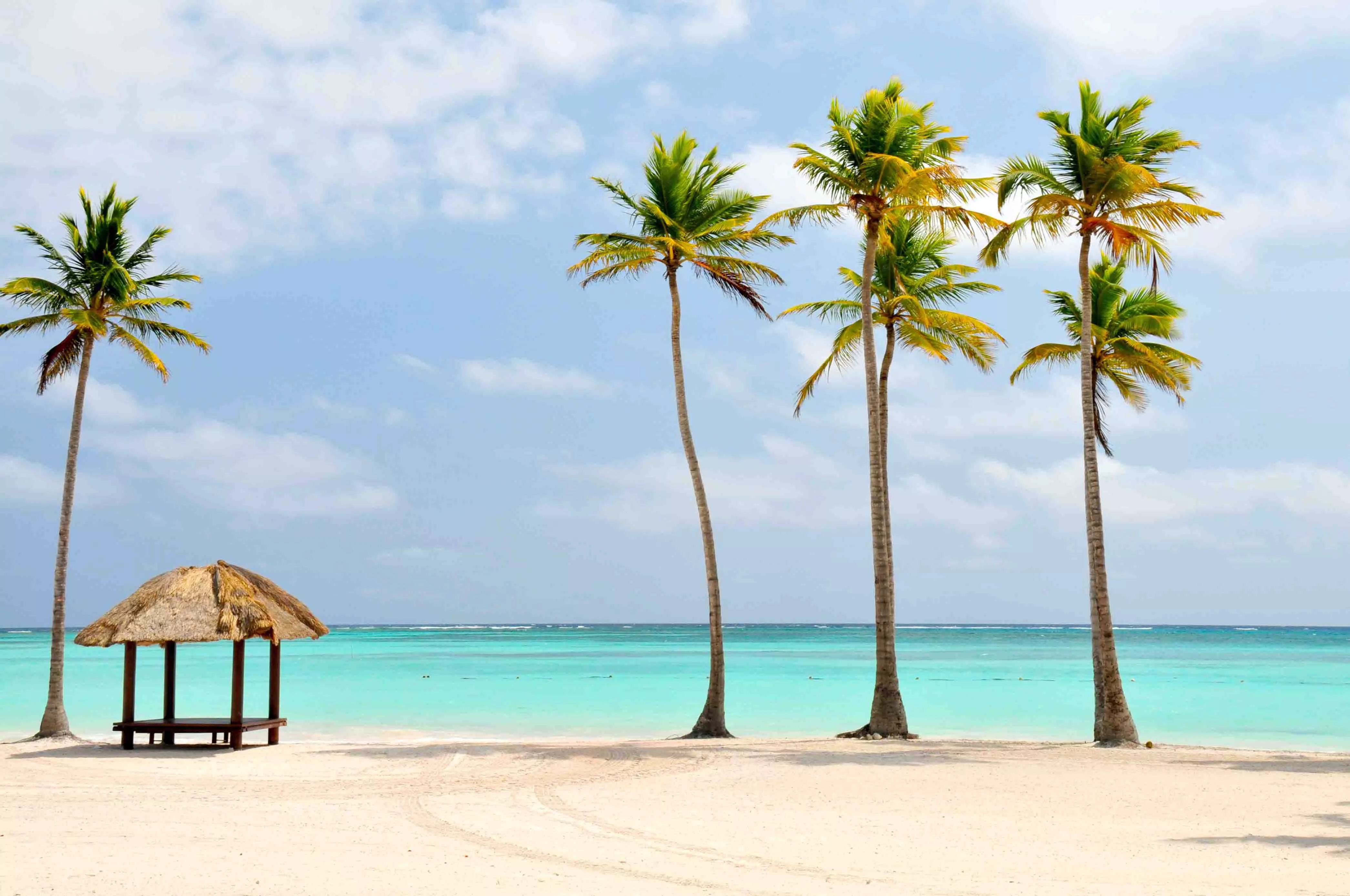 Viaje Nueva York Punta Cana
