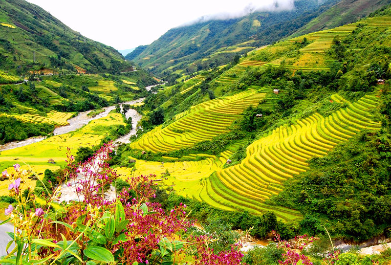 Sapa Vietnam Luna de miel Vietnam