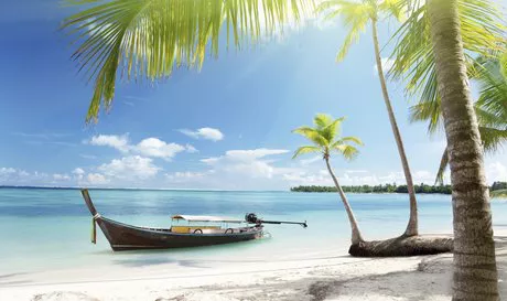 oferta todo incluido punta cana