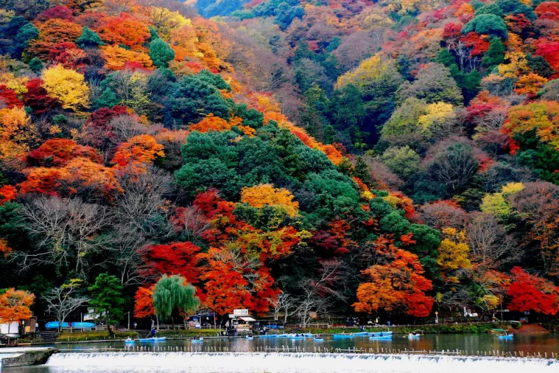 Japon y Maldivas Luna de Miel