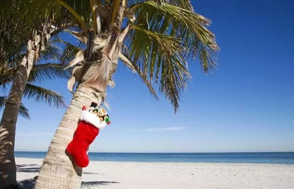 navidad en punta cana