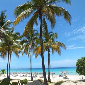 Varadero es la favorita en Cuba y uno de los destinos más baratos del Caribe Cuba llena de palmeras y preciosas playas, viajar sin pagar de más