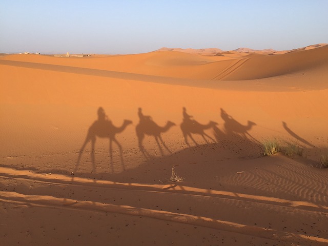 Desierto Marruecos Desierto Marruecos Marrakech