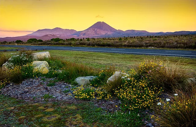 Paisajes Nueva Zelanda