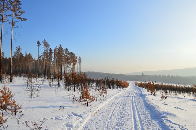 Siberia Siberia
