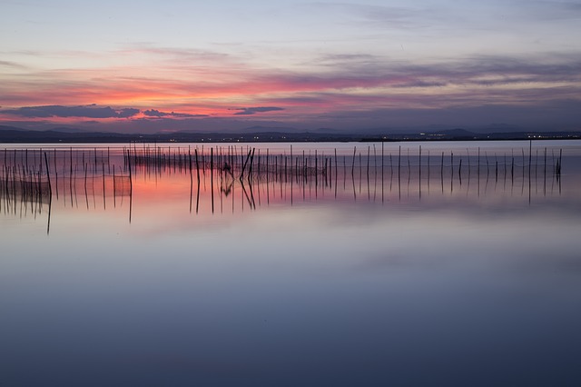 Valencia Valencia