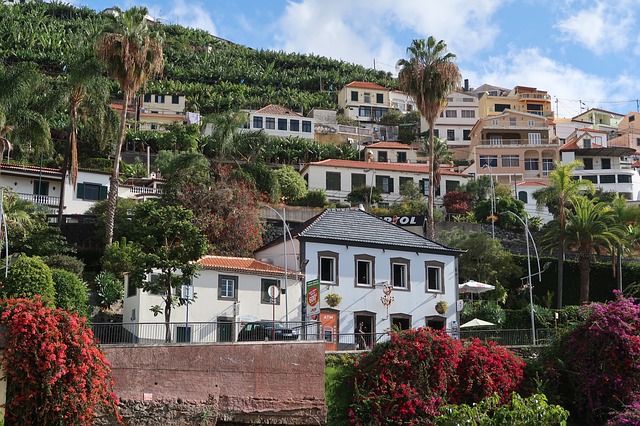 Madeira Madeira
