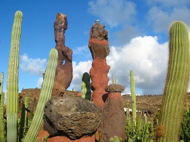 Vacaciones Viaje Lanzarote