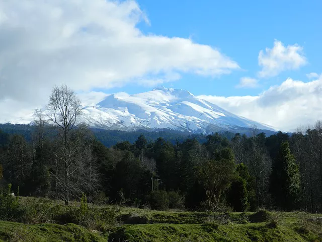 Viaje Organizado Patagonia Chilena