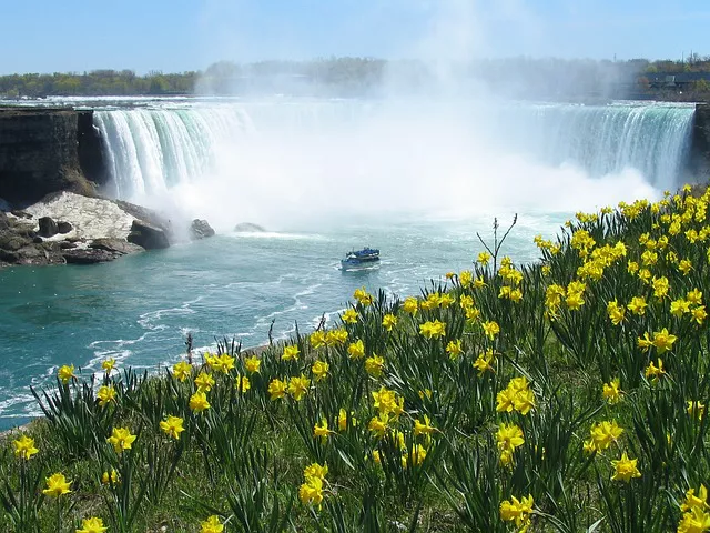 Cataratas del Niágara