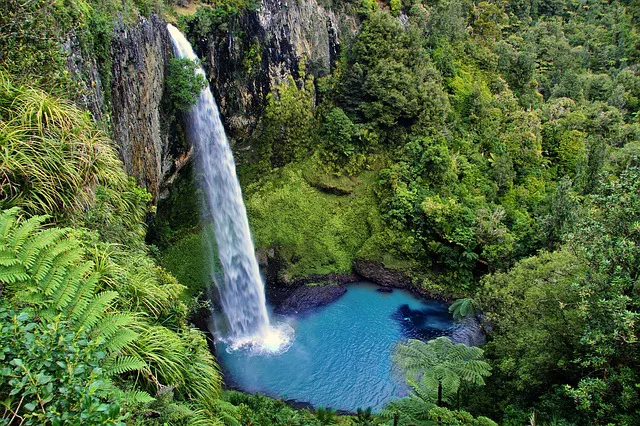 Viaje a Nueva Zelanda