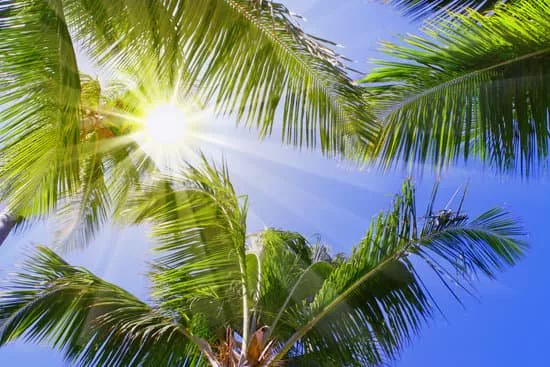 Oferta Punta Cana 2x1 Viaje a Punta Cana 2x1