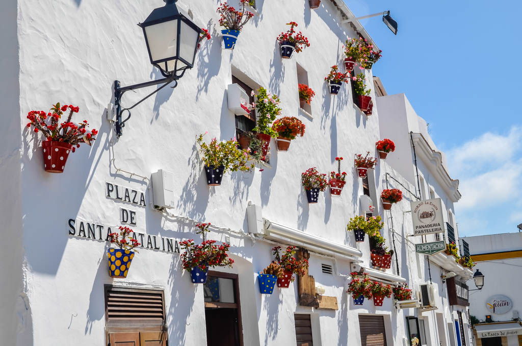 Calles de Conil flores Calles de Conil flores