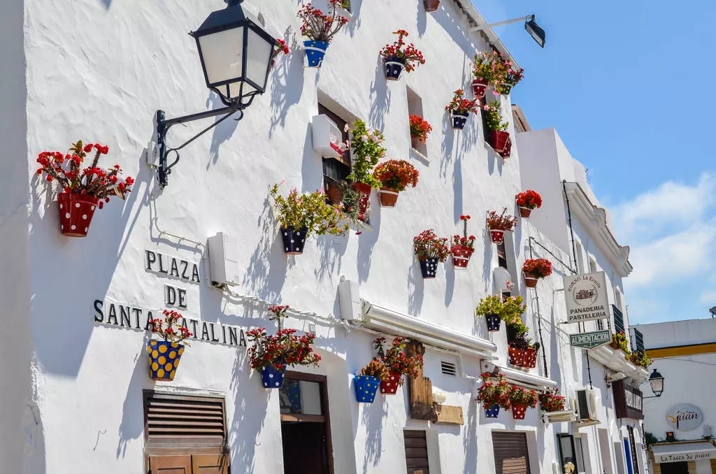 Calles de Conil flores