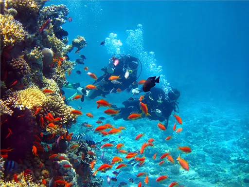 Buceo en Benidorm