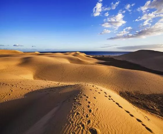 Gran Canaria Desierto