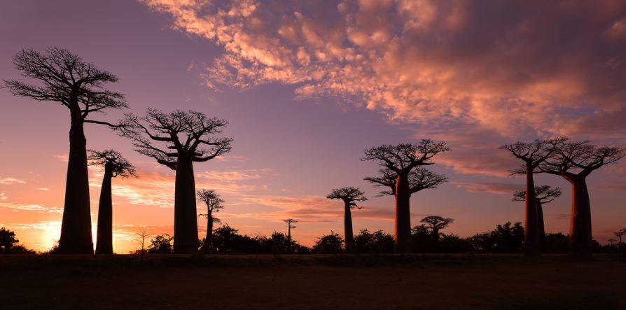 Madagascar Turismo Madagascar Turismo