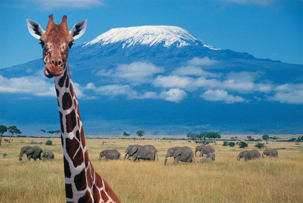 vacaciones en kenia