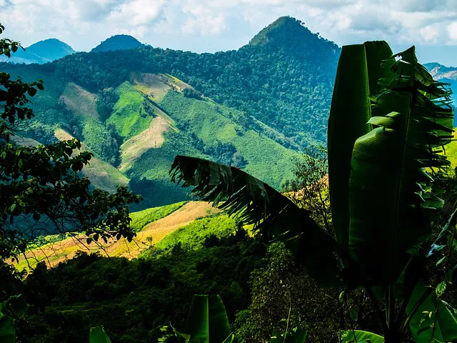 Luna de miel - viaje de novios a Tailandia